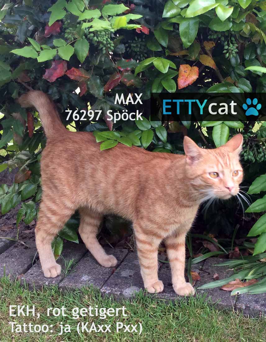 76297_MAX_ettycat