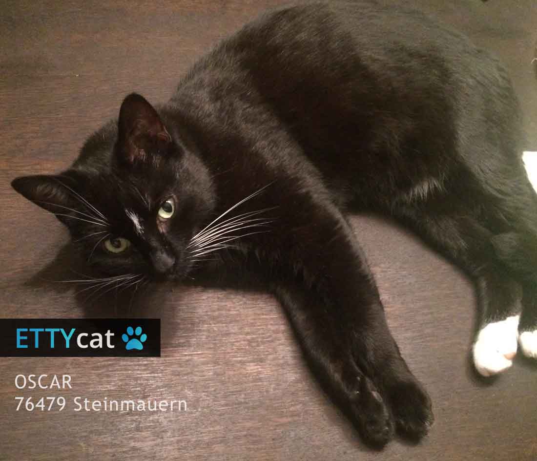 76479_OSCAR_ettycat