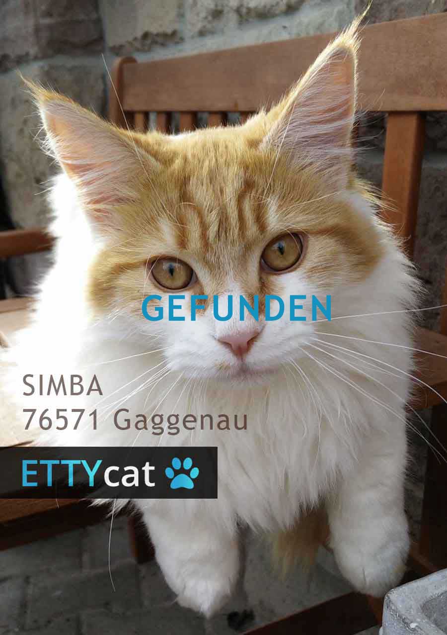 76571_SIMBA_ettycat_190116_G