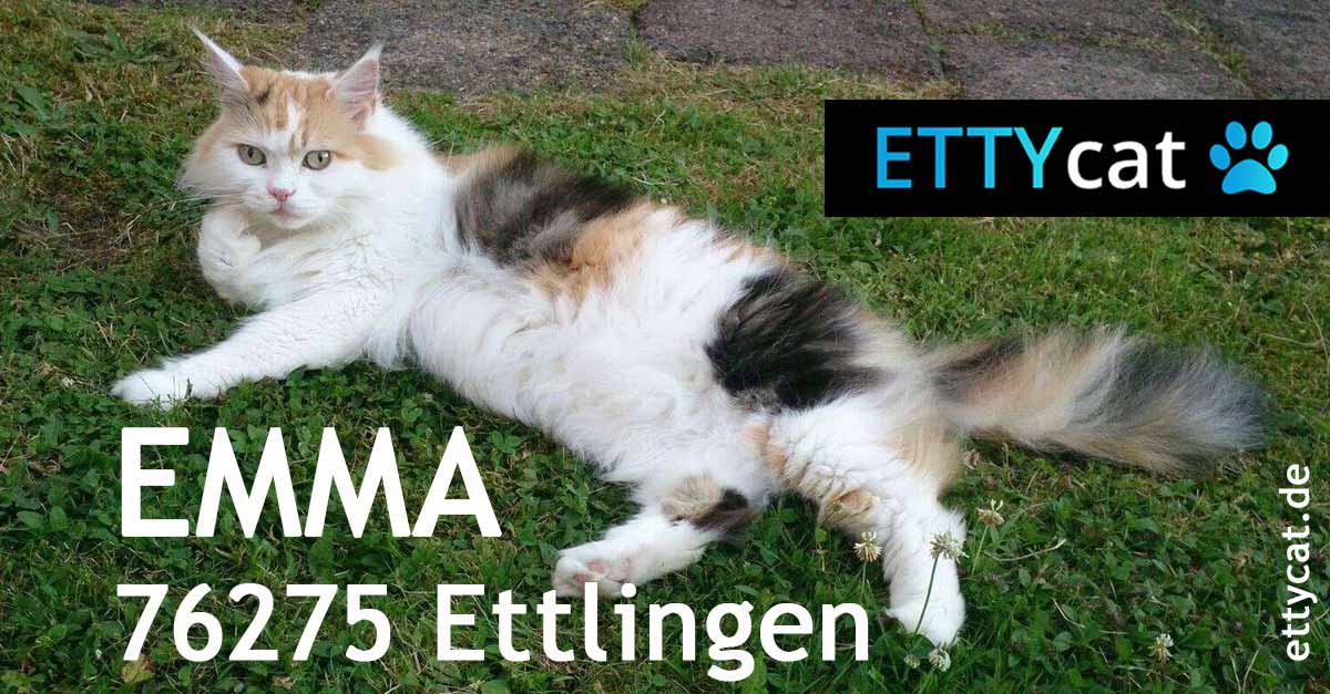 76275_Emma_ETTYcat